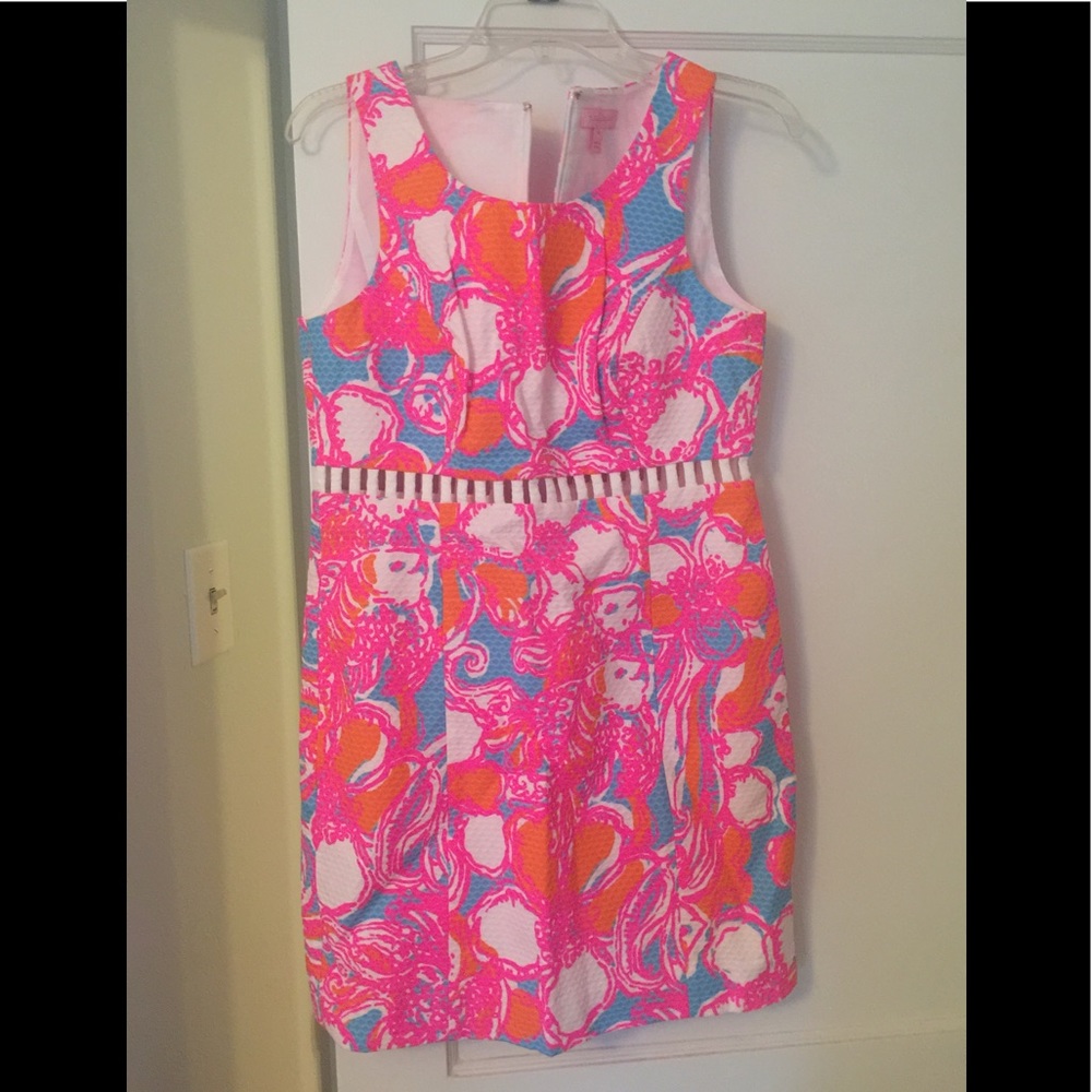 Lilly pulitzer dress